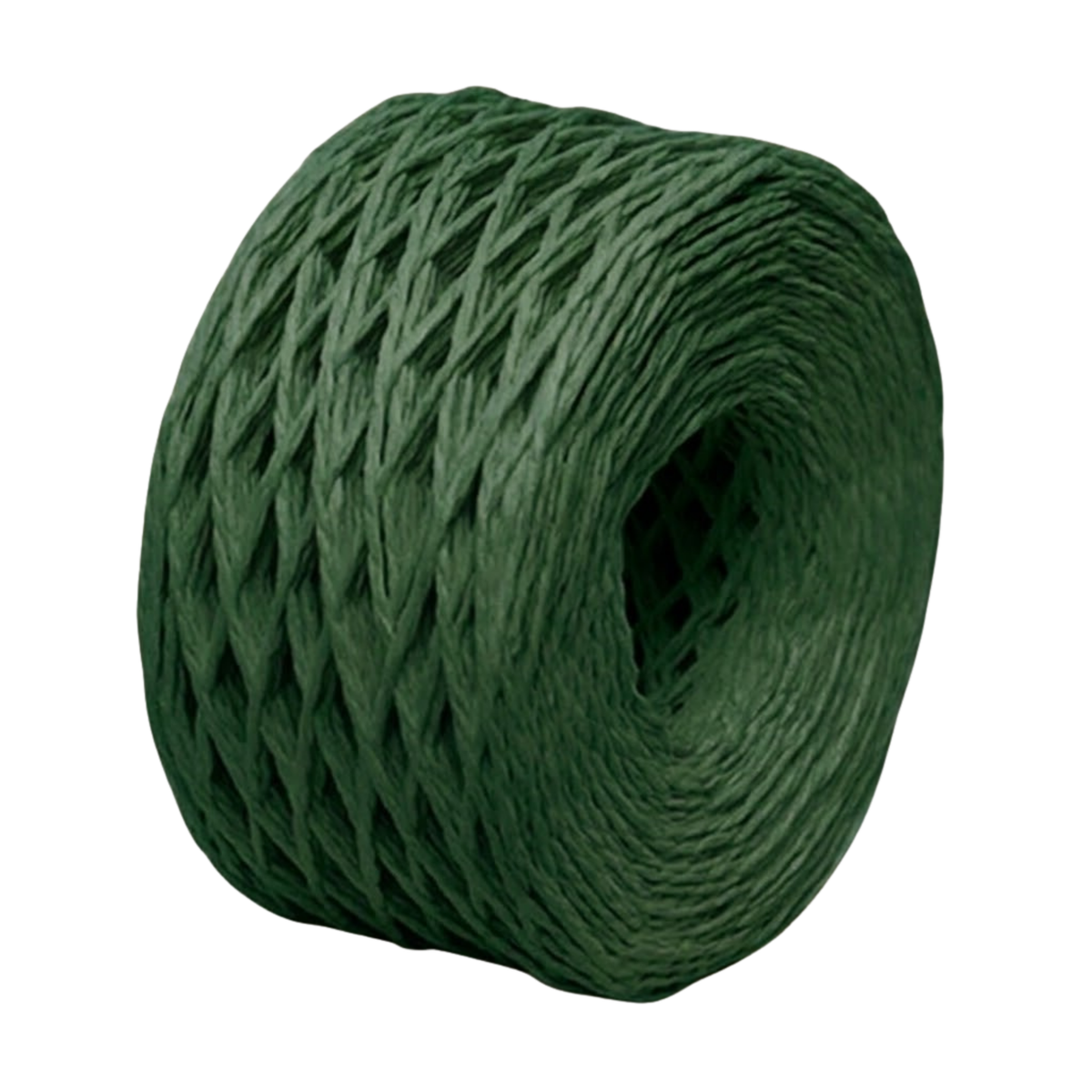 Paper Twine 2mm X 100mtrs Hunter Green