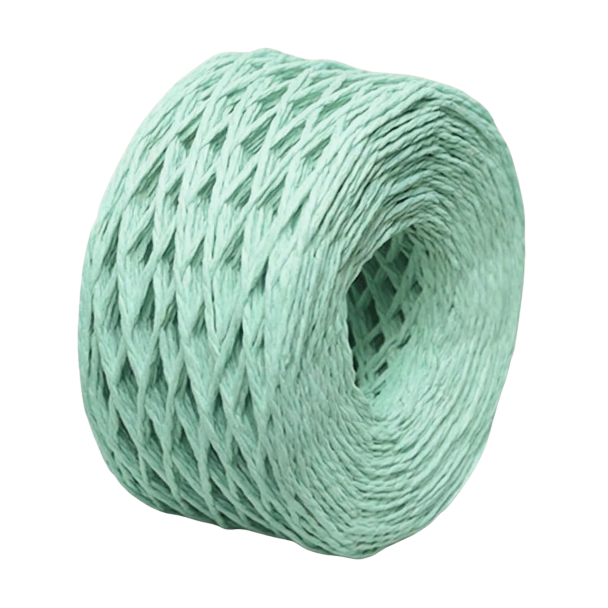 Paper Twine 2mm X 100mtrs Mint