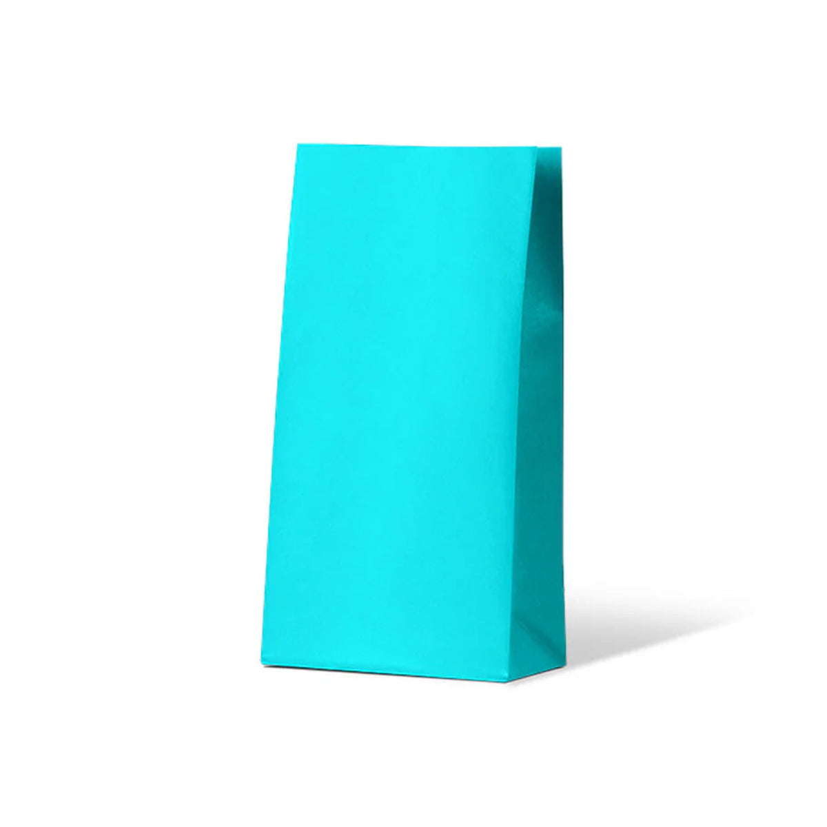Beach Blue Medium Coloured Gift Paper Bag