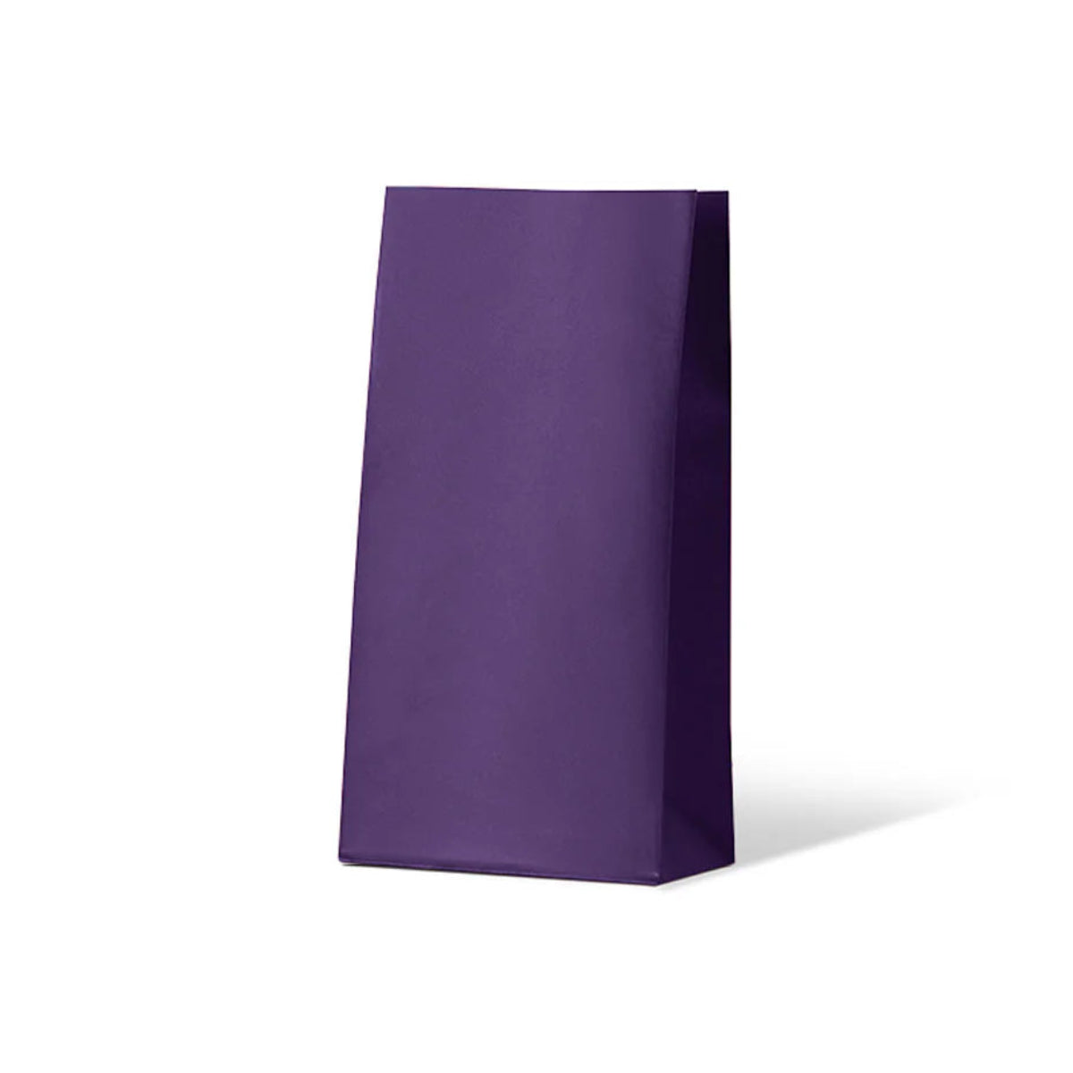 Passion Purple Medium Coloured Gift Paper Bag