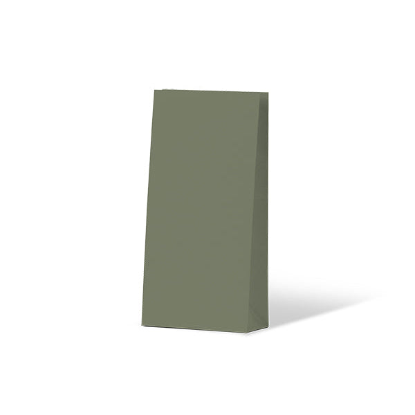 Earth Green Coloured Gift Paper Bag